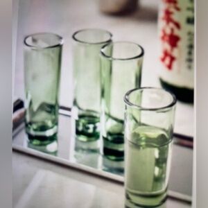 ANTHROPOLOGIE MORGAN SHOT GLASSES SET OF 4 NEW IN BOX *SAGE